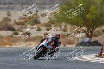 media/Apr-10-2022-SoCal Trackdays (Sun) [[f104b12566]]/Turn 5 Tree of Life (1040am)/